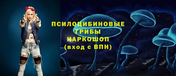 a pvp Вяземский