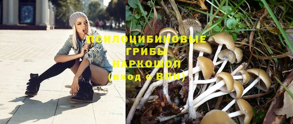 2c-b Вязьма