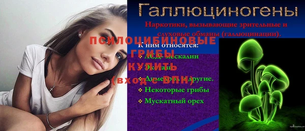 ешки Володарск