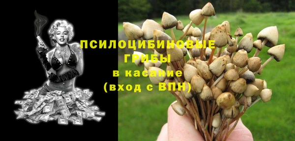 ешки Володарск